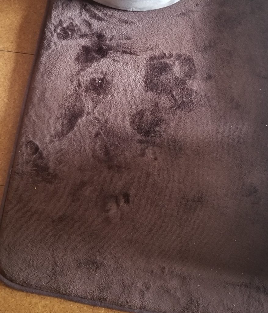 見る角度によっては違うものに見える