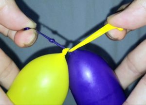 バルーンアートで2本の風船を結ぶ方法1