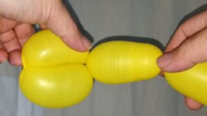バルーンアートのたらこ結びと同じ長さのバルブを作る!バードボディーの作り方