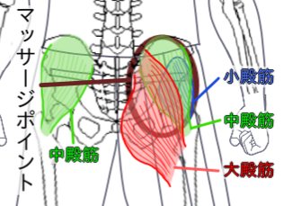 おしりのマッサージポイント(大殿筋・中殿筋・小殿筋)