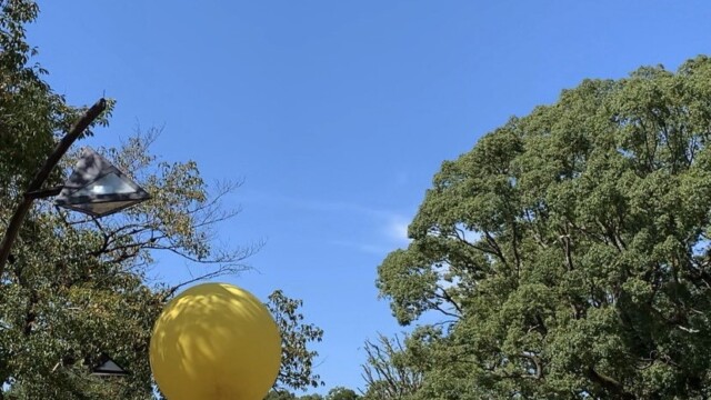上野公園 ヘブンアーティスト 大道芸人GEN(ジェン) ディアボロ ハイトス