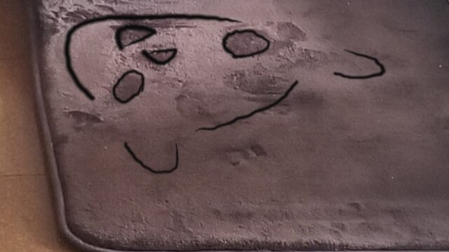 GEN(ジェン)に見えた犬