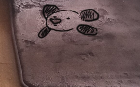 アルくんに見えたクマ