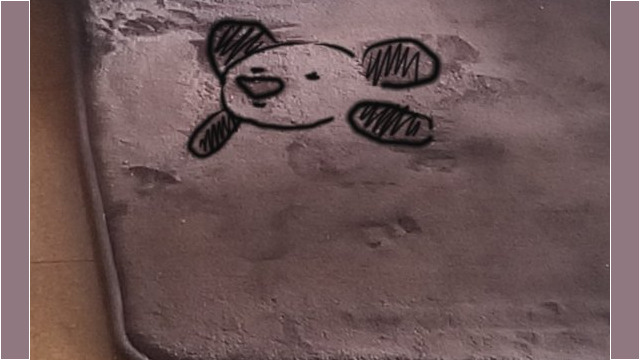 アルくんに見えたクマ