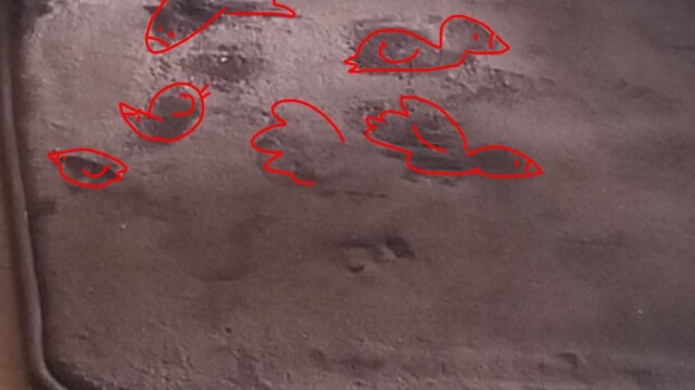 さっこさんに見えたアヒルが何羽かいるように見えた絵