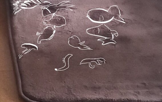 裕子(Yuko)好きになるほど毒舌発動さんに見えた色んな魚たち。 蛇足ながら、左上の入れ物の ラインが唇に見えました