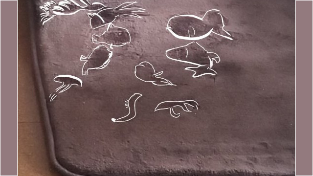 裕子(Yuko)好きになるほど毒舌発動さんに見えた色んな魚たち。 蛇足ながら、左上の入れ物の ラインが唇に見えました