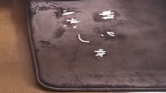 bluemomentさんの顔