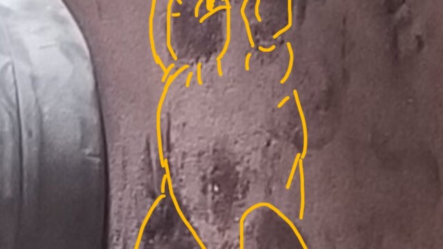 あまりじおさんに見えた妖怪