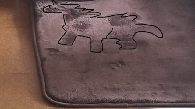 みゅうさんに見えた恐竜かユニコーン