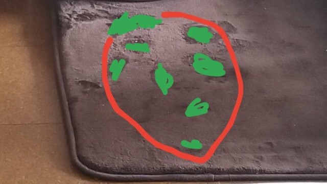 ゆずピーチさんに見えたいちご