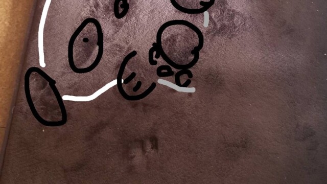 まいまるさんのパンダ