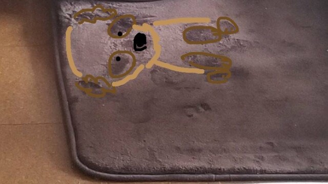 まいまるさんの犬