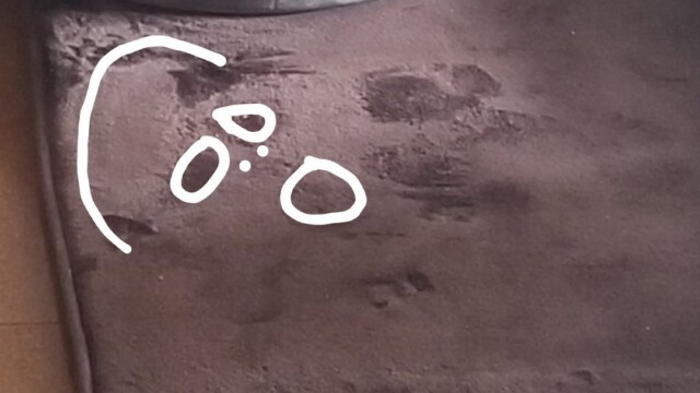 KS*コロメリチコってる② さんが見た『叫び』