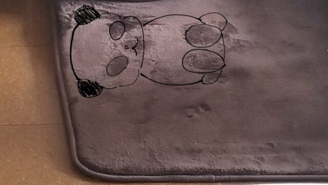 Kyodochanさんに見えたパンダ