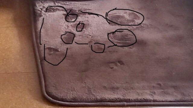 みずかんちゃんに見えた座ってるテディベア